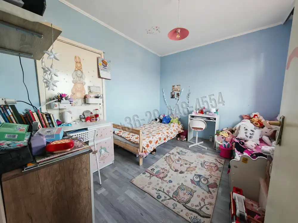 Csongrád megye - Szeged