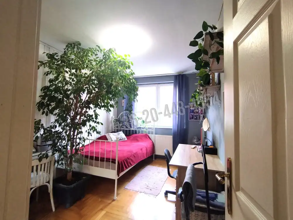 Csongrád megye - Szeged